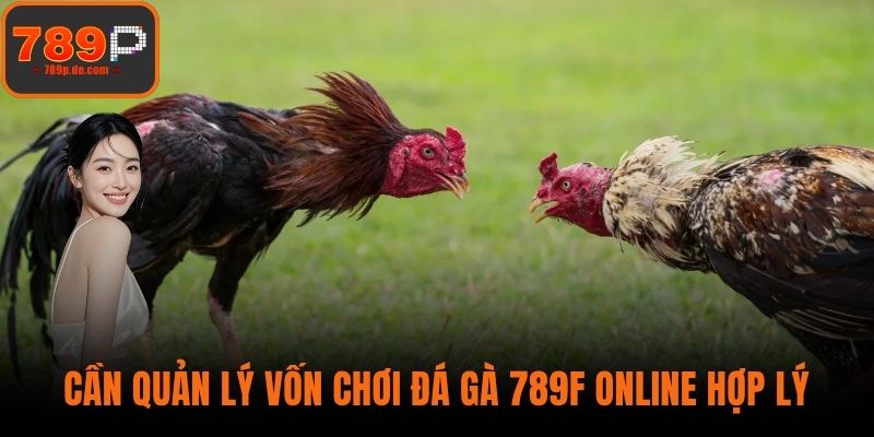 Cần quản lý vốn chơi Đá gà 789F Online hợp lý