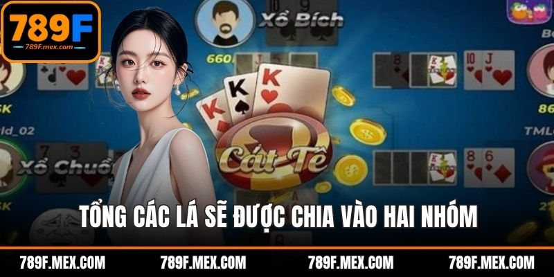 Tổng các lá sẽ được chia vào hai nhóm