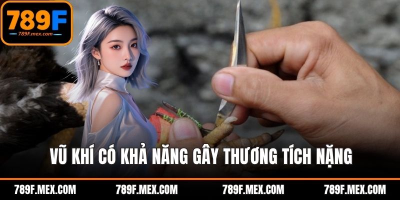 Vũ khí có khả năng gây thương tích nặng